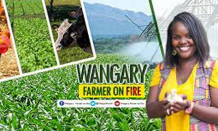 WANGARY KURIA- The Farmer On Fire