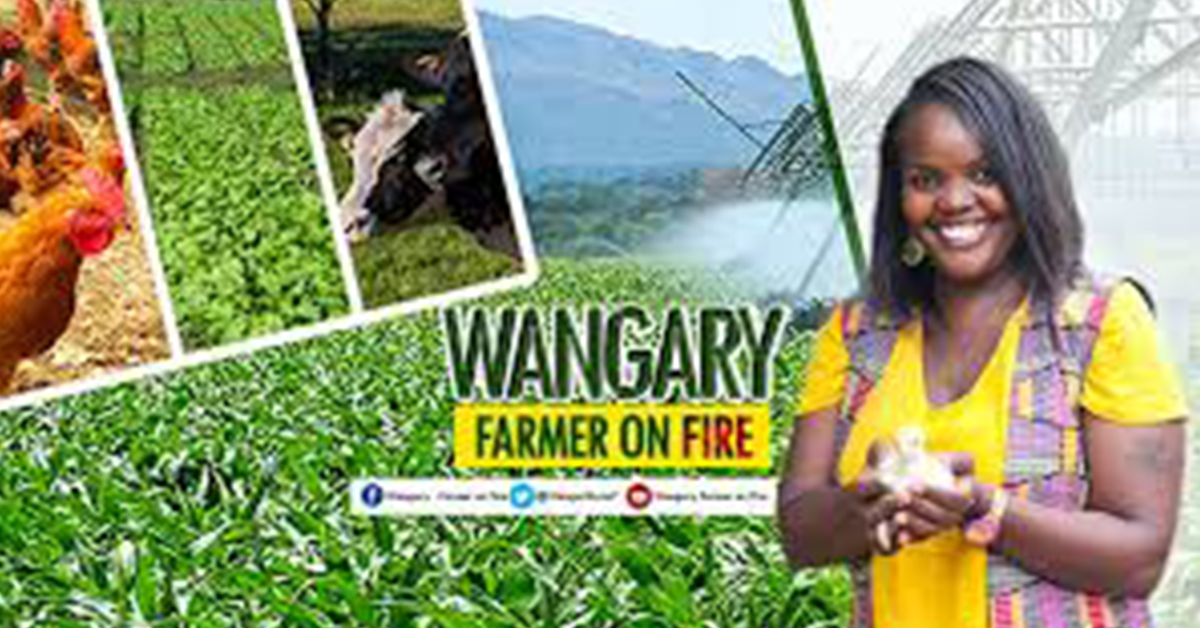 WANGARY KURIA- The Farmer On Fire
