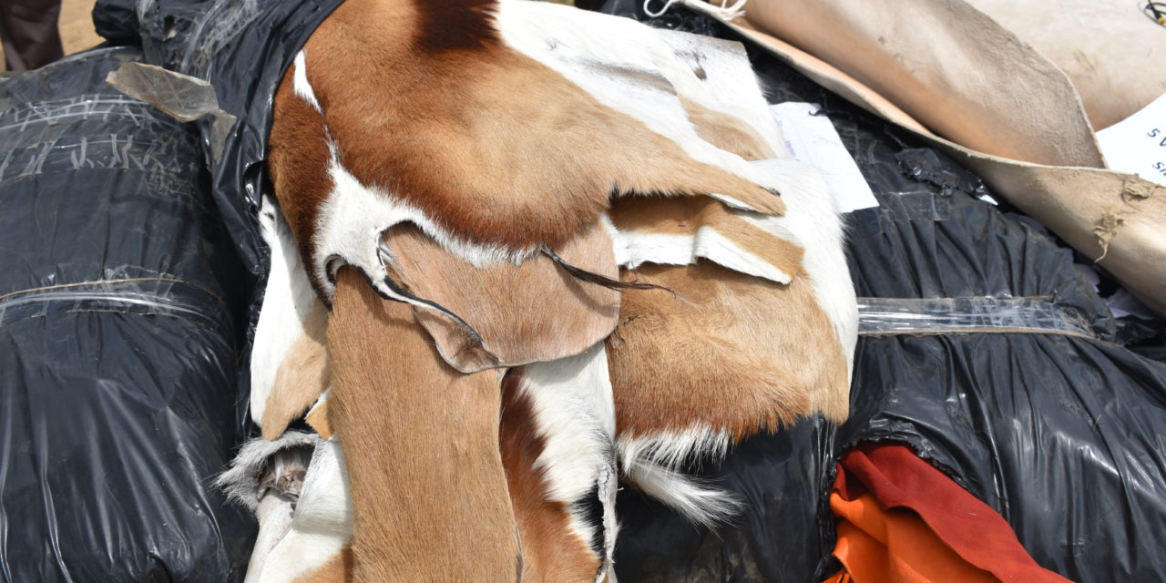 Wildlife Trafficking:  A Ring of Smugglers Arrested in Juba with Over 320kgs of Animal Skins