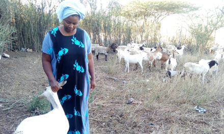 The Impact of Covid-19 On Pastoralists in Kenya