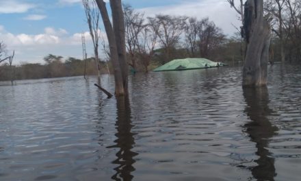 The submerging lakes are another pandemic hitting Kenya