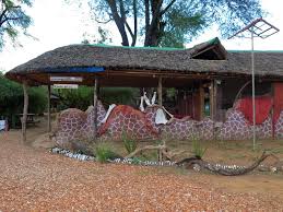 Sabache Eco Camp, the Magical Samburu Gem