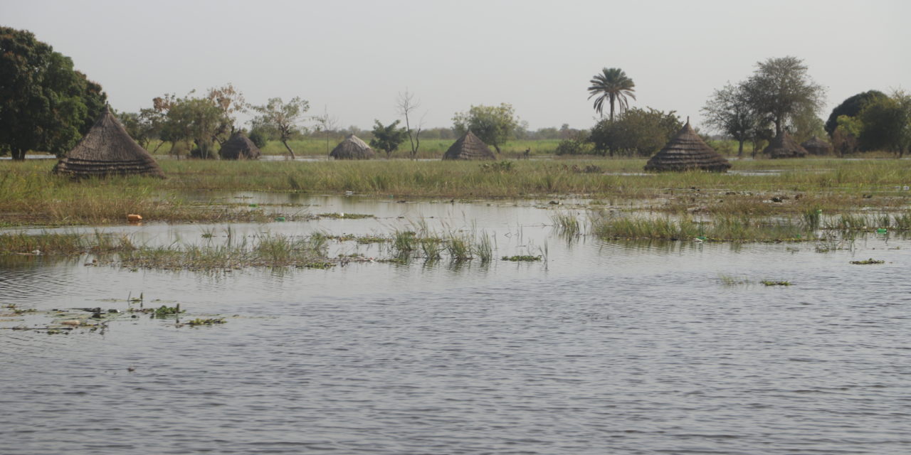 The impact of Climate Change is ‘catastrophic’ in South Sudan, IOM