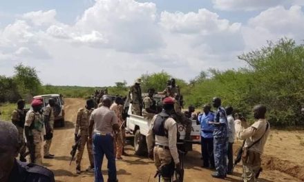 South Sudan: Diaspora Urge Dialogue Between Rival Communities