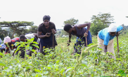 Empowering Rural Markets for Sustainable Food Systems in Kenya